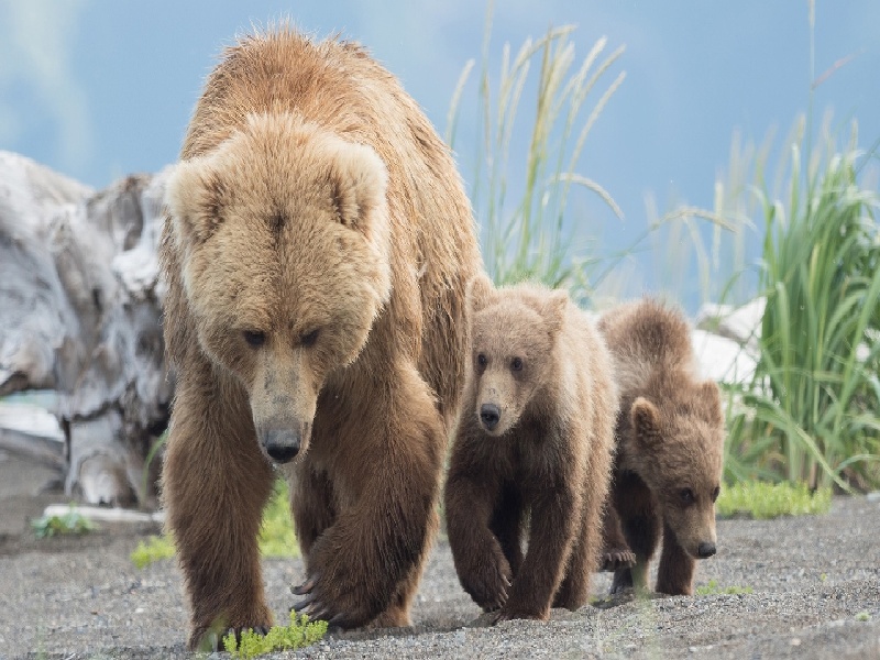 福州惜缘试管代生机构:怀二胎孕吐反应特大,和孕妇自身以及胎儿都有关